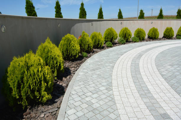 Reasons to Select Us for Your Driveway Paving Requirements in Pahrump, NV
